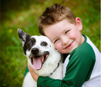 60f3253f59b571a3fe9576fc36ff2e4e