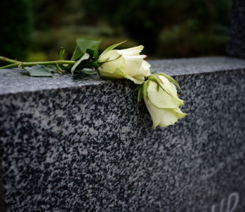 f88820ce85384b5763571d89cc708f39